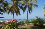 Anegada Hammock