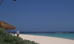 Anegada Loblolly Beach1