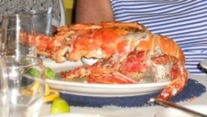 Anegada Lobster Comp